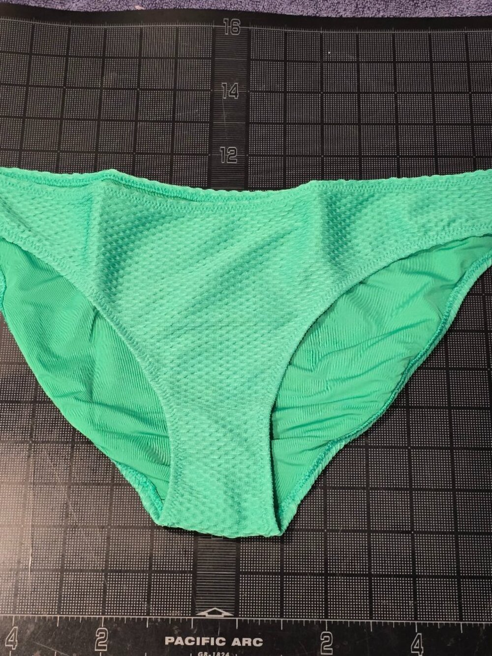 Aerie Bikini Bottom Green Textured Womens Large NWT
